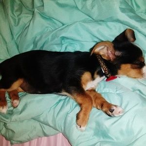 Meet your Posher, Derek